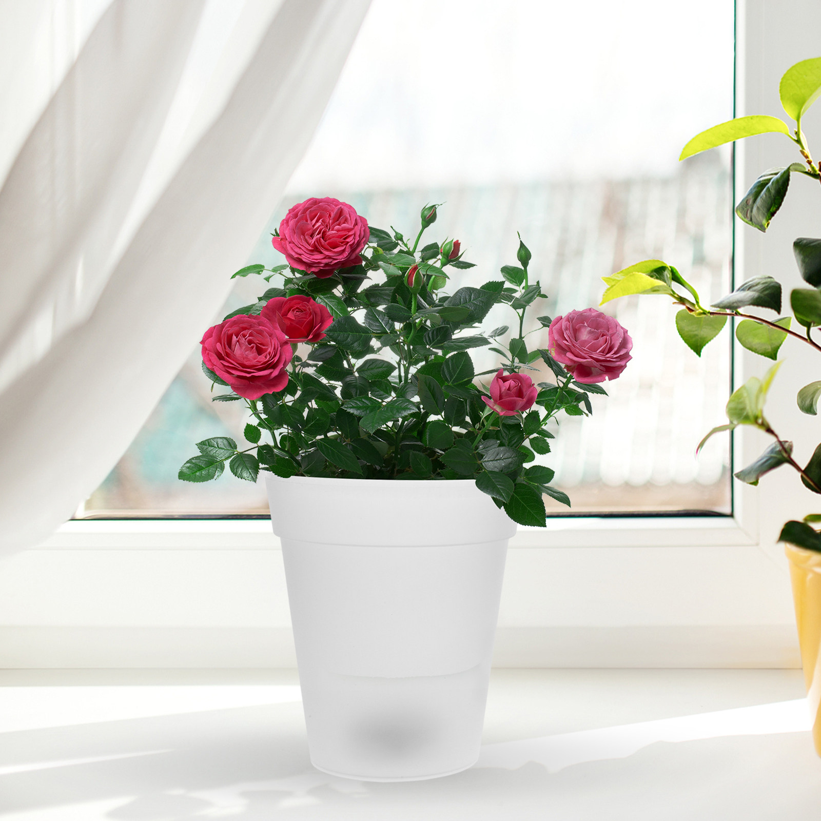 Flowerpot Solar Light Outdoor  - مراجعة Christmas Lights Outdoor وسعره