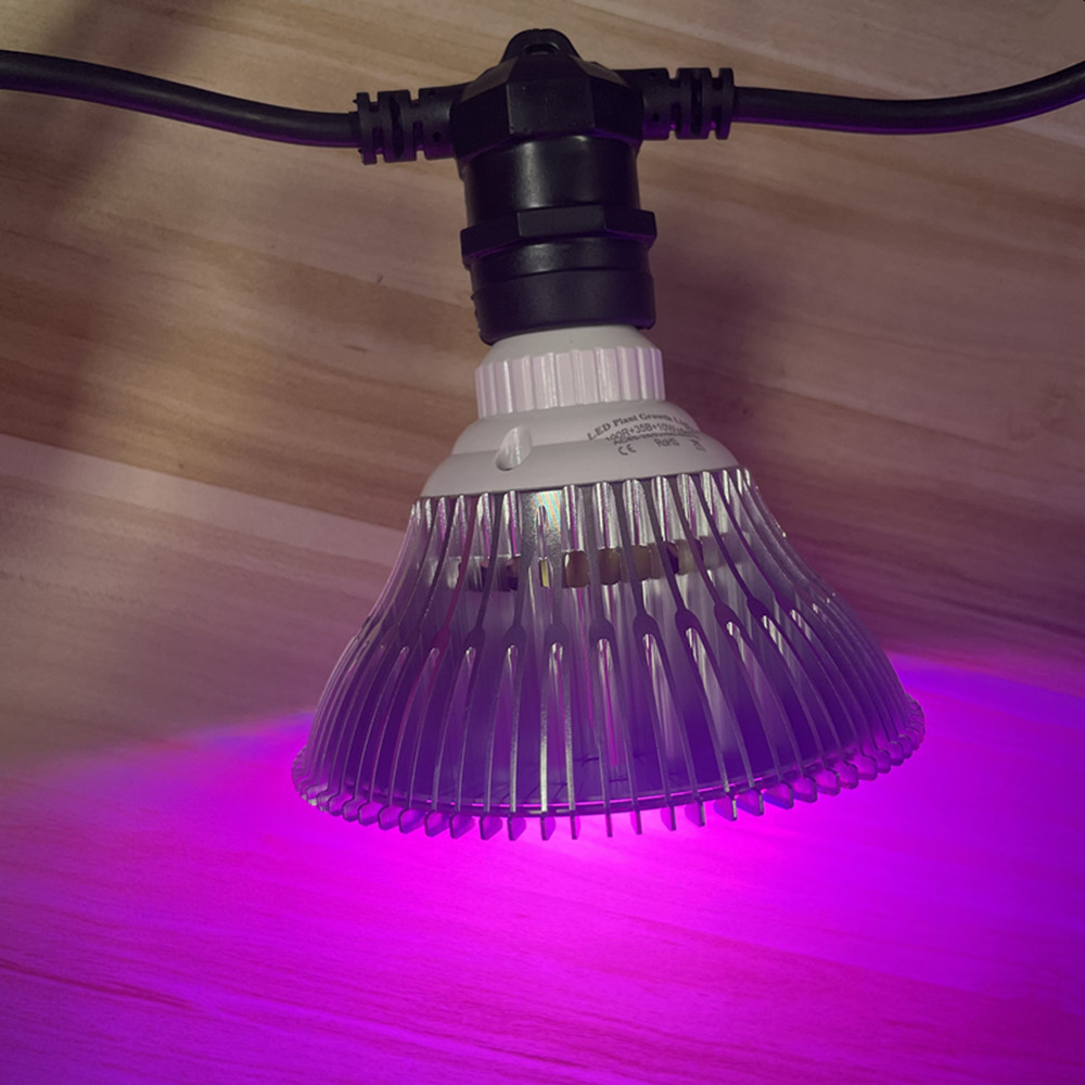 10M Cable LED String Commercia - مراجعة Led Fairy String Lights وسعره
