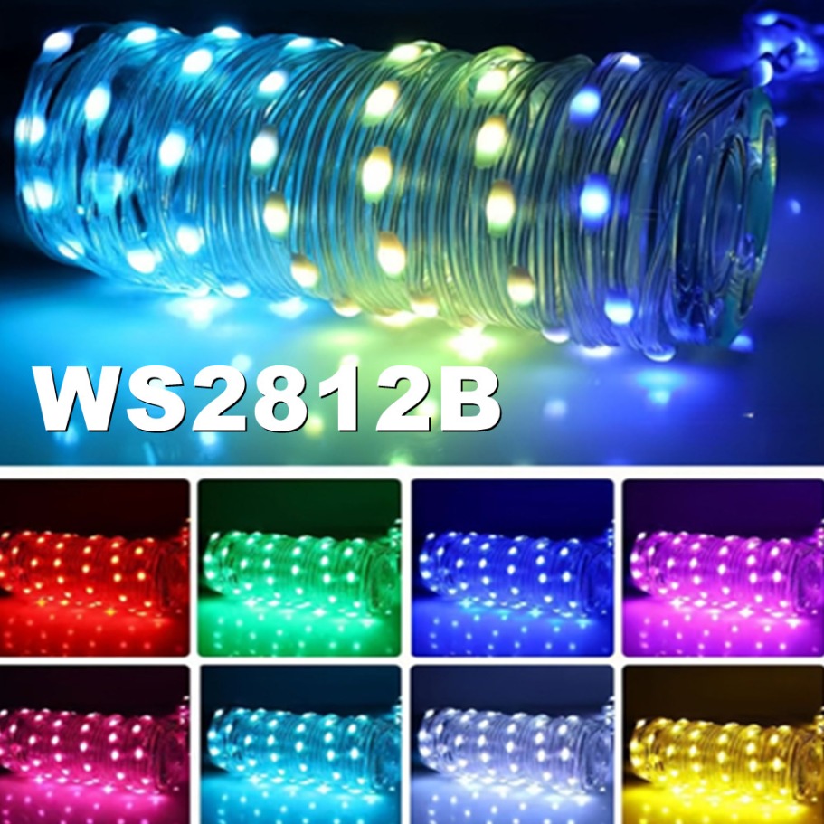 WS2812B LED Light String Smart - مراجعة Led Fairy String Lights وسعره