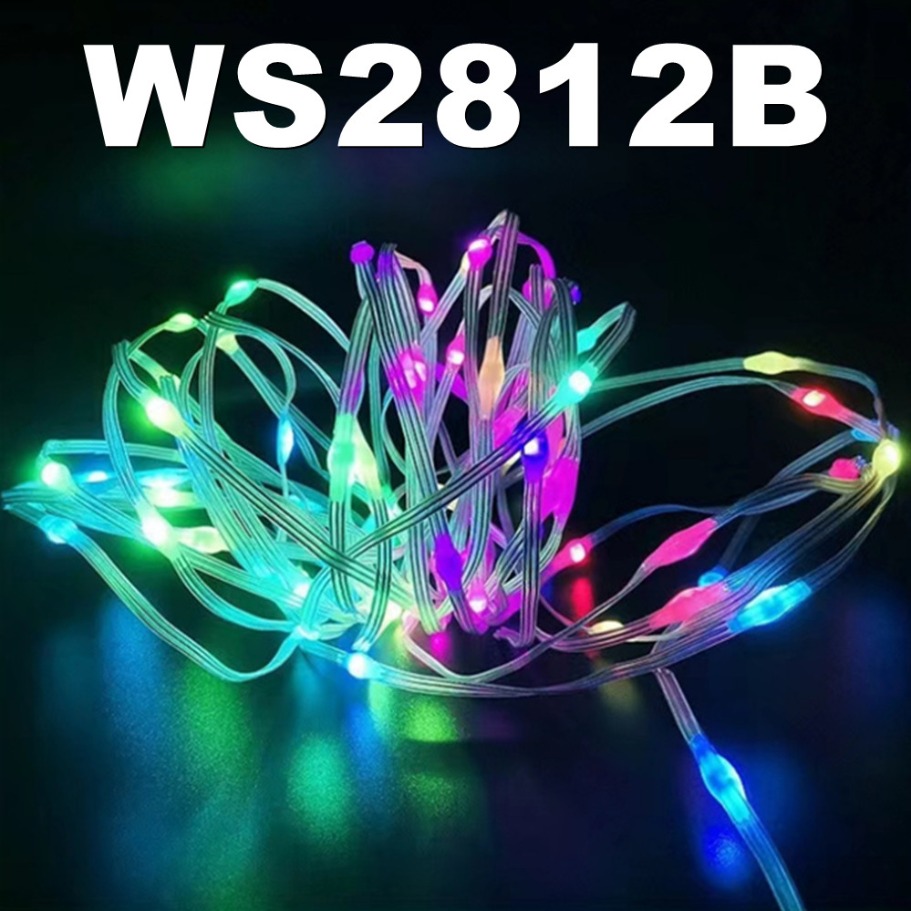 WS2812B LED Light String Smart - مراجعة Led Fairy String Lights وسعره
