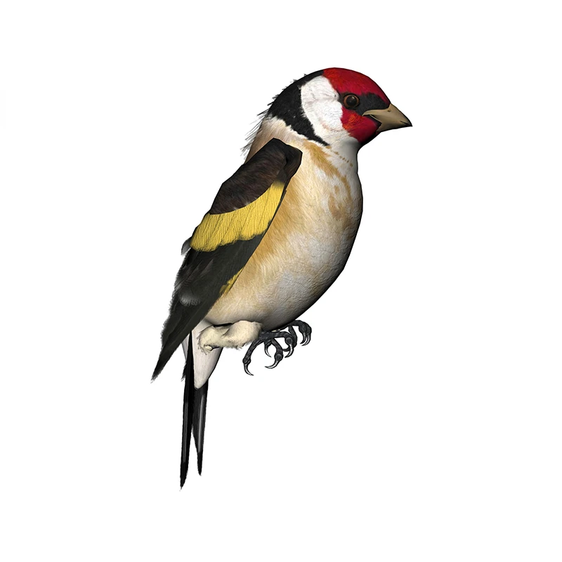 New Design for Tinsel Finches  - مراجعة Tinsel Garland Decoration وسعره
